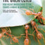 Design for the Unexpected: From Holonic Manufacturing Systems towards a Humane Mechatronics Society