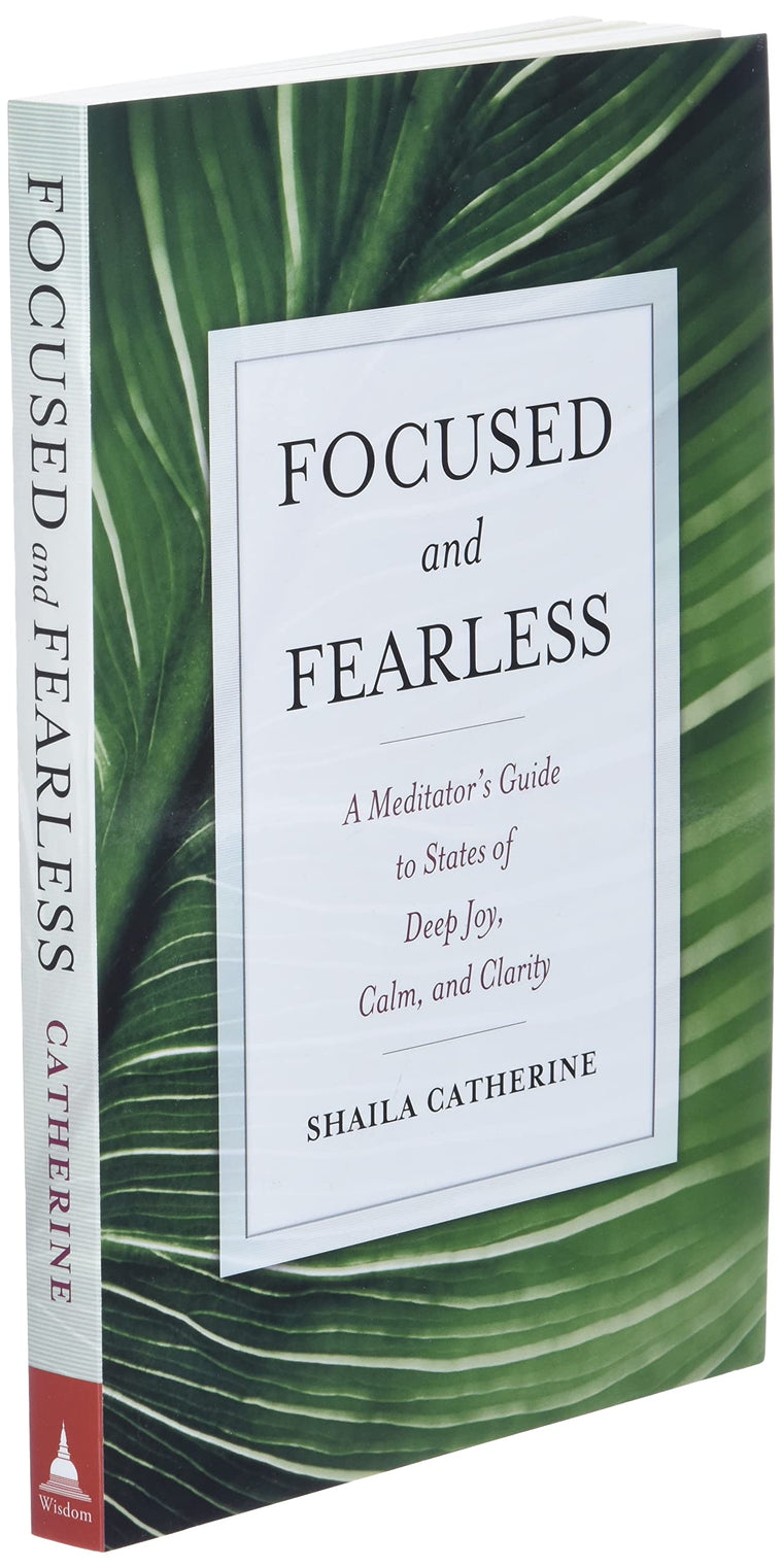 Focused and Fearless: A Meditator's Guide to States of Deep Joy, Calm, and Clarity — back cover