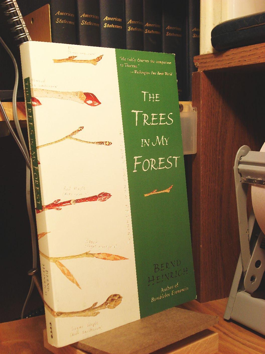 The Trees in My Forest