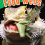 Food Webs (Science Readers: Content and Literacy)