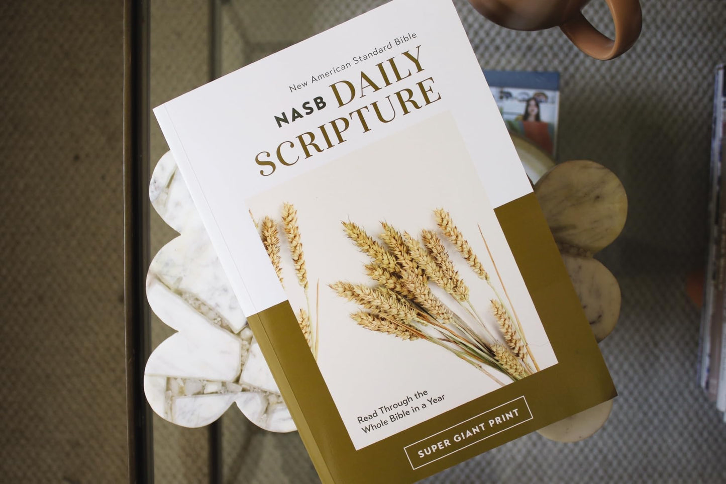 NASB, Daily Scripture, Super Giant Print, Paperback, White/Gold, 1995 Text, Comfort Print: 365 Days to Read Through the Whole Bible in a Year