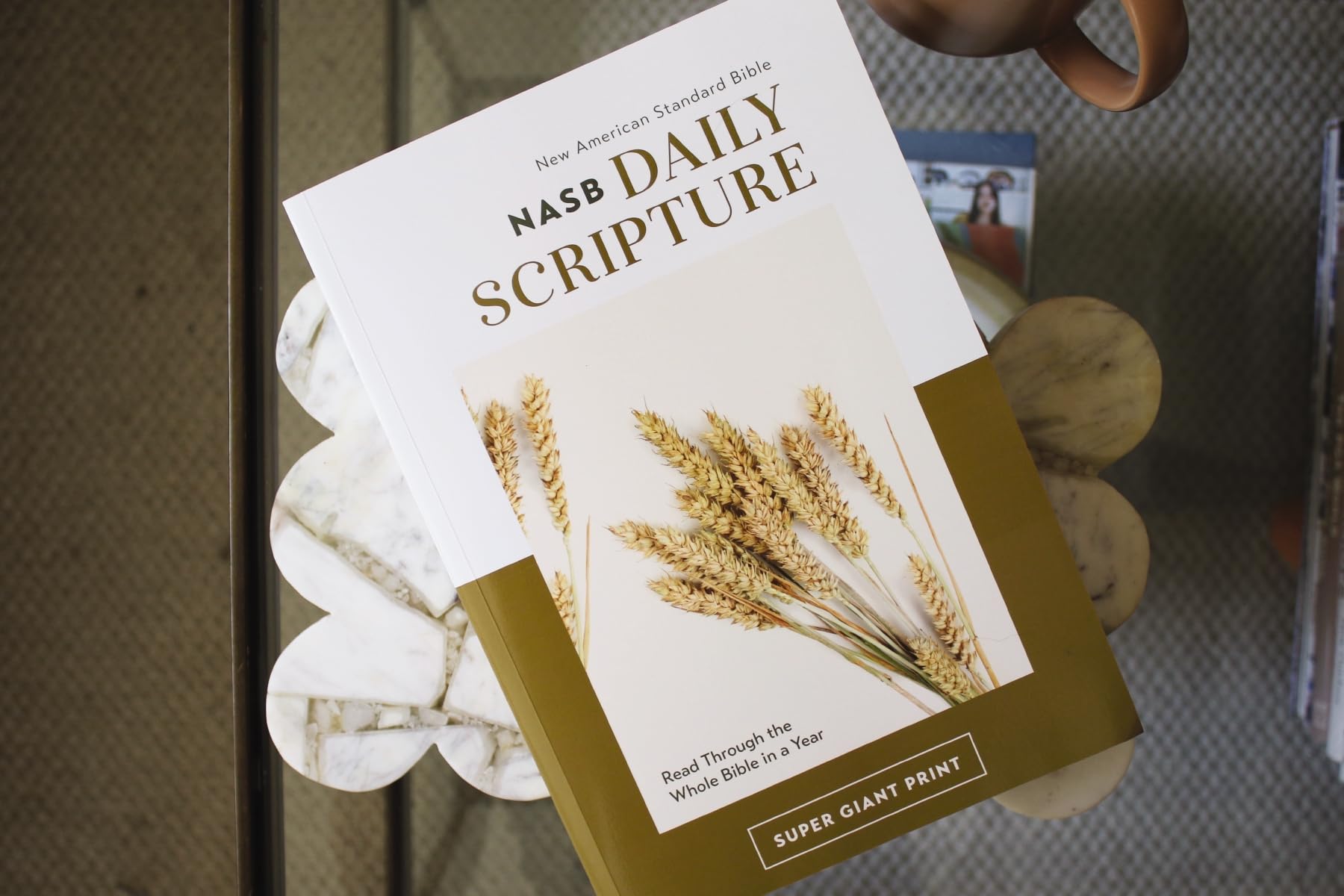 NASB, Daily Scripture, Super Giant Print, Paperback, White/Gold, 1995 Text, Comfort Print: 365 Days to Read Through the Whole Bible in a Year