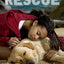 The Rescue (Dog Whisperer)