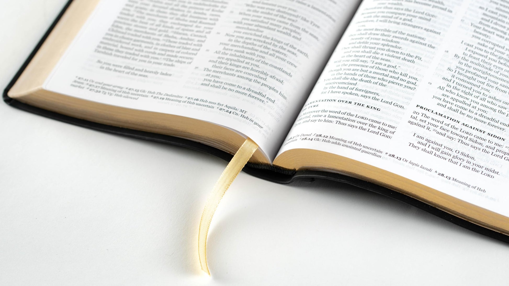 Holy Bible, NRSVue with Apocrypha, Personal Edition