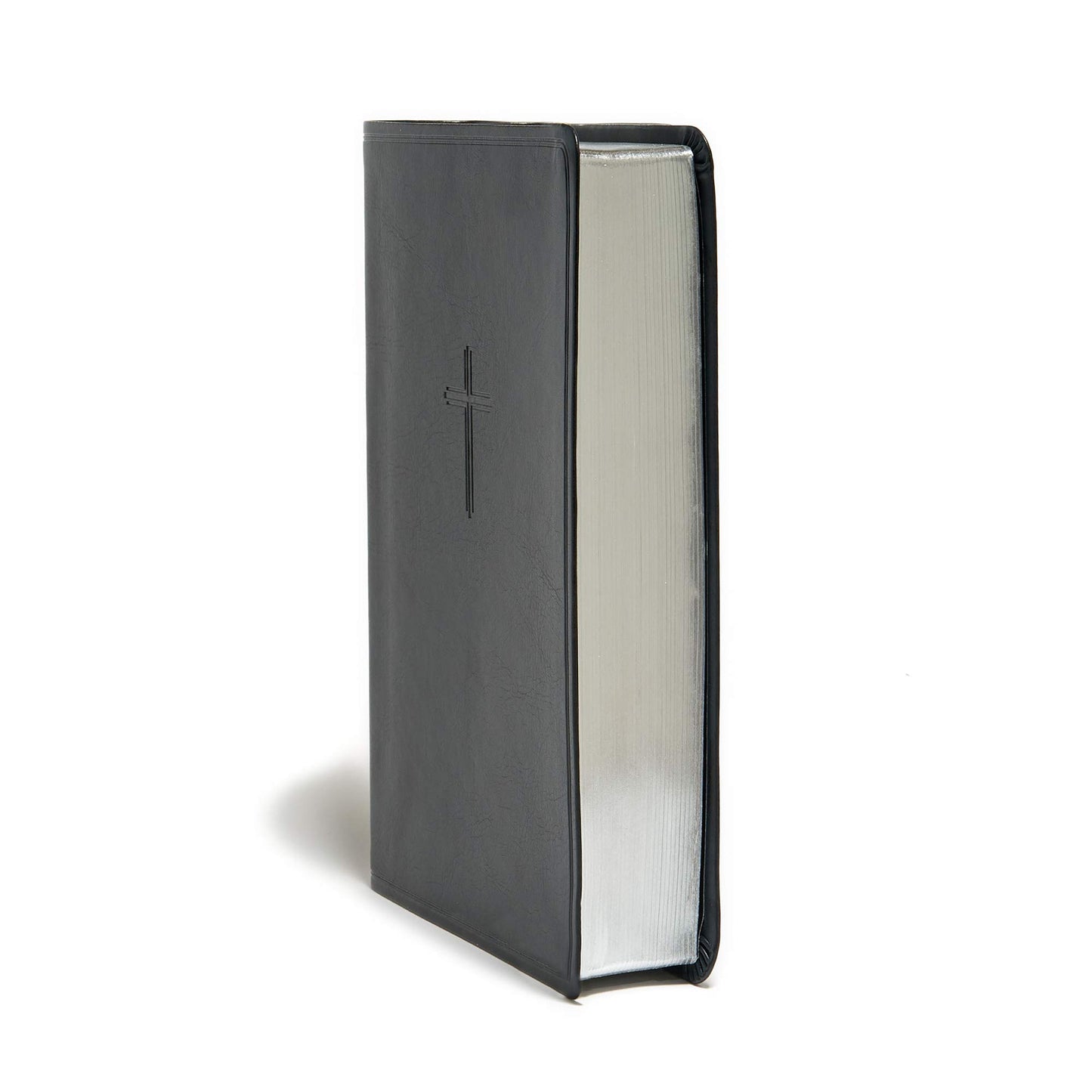 KJV Everyday Study Bible, Black LeatherTouch, Black Letter, Pure Cambridge Text, Study Notes and Comentary, Illustrations, Aricles, Charts, Easy-to-Carry, Easy-to-Read Bible MCM Type