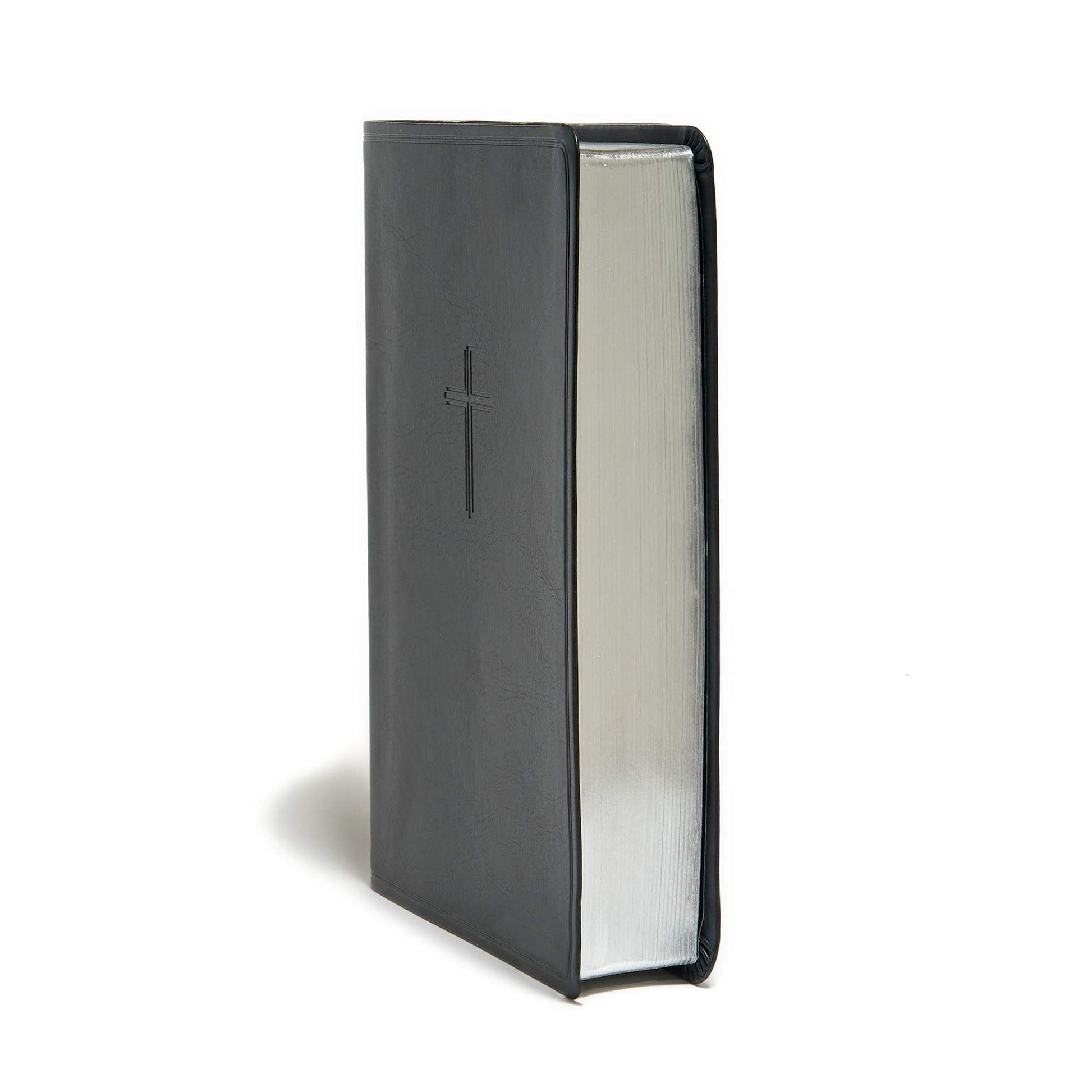 KJV Everyday Study Bible, Black LeatherTouch, Black Letter, Pure Cambridge Text, Study Notes and Comentary, Illustrations, Aricles, Charts, Easy-to-Carry, Easy-to-Read Bible MCM Type