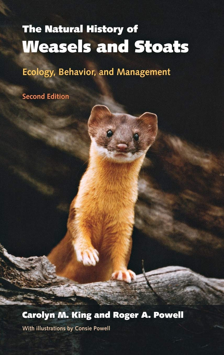 The Natural History of Weasels and Stoats: Ecology, Behavior, and Management