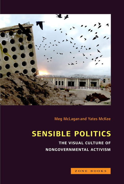 Sensible Politics: The Visual Culture of Nongovernmental Politics (Mit Press)