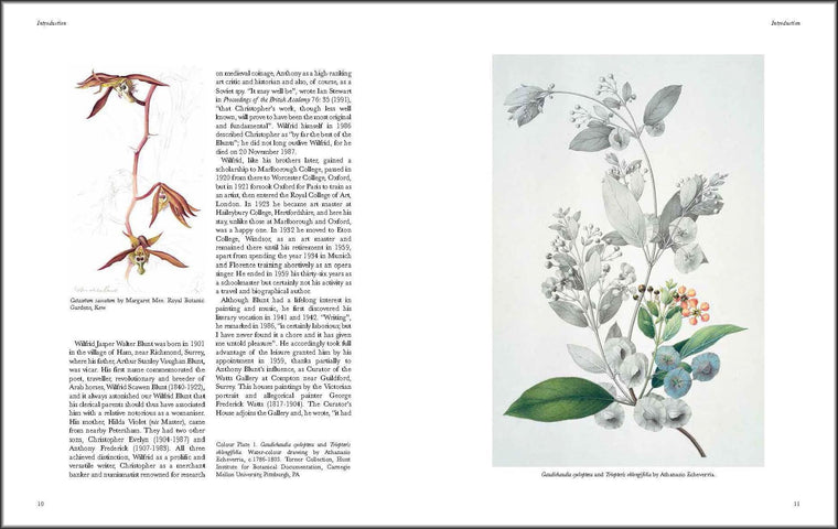 Art of Botanical Illustration — back cover