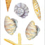 Seashells Sticker Set (over 100 stickers)