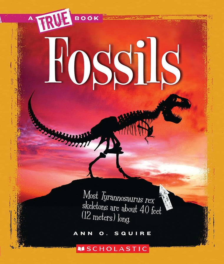 Fossils (A True Book: Earth Science) (A True Book (Relaunch))