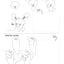 How to Draw Everything Cute for Kids: 365 Animals, Foods, People, and More to Draw Step by Step!