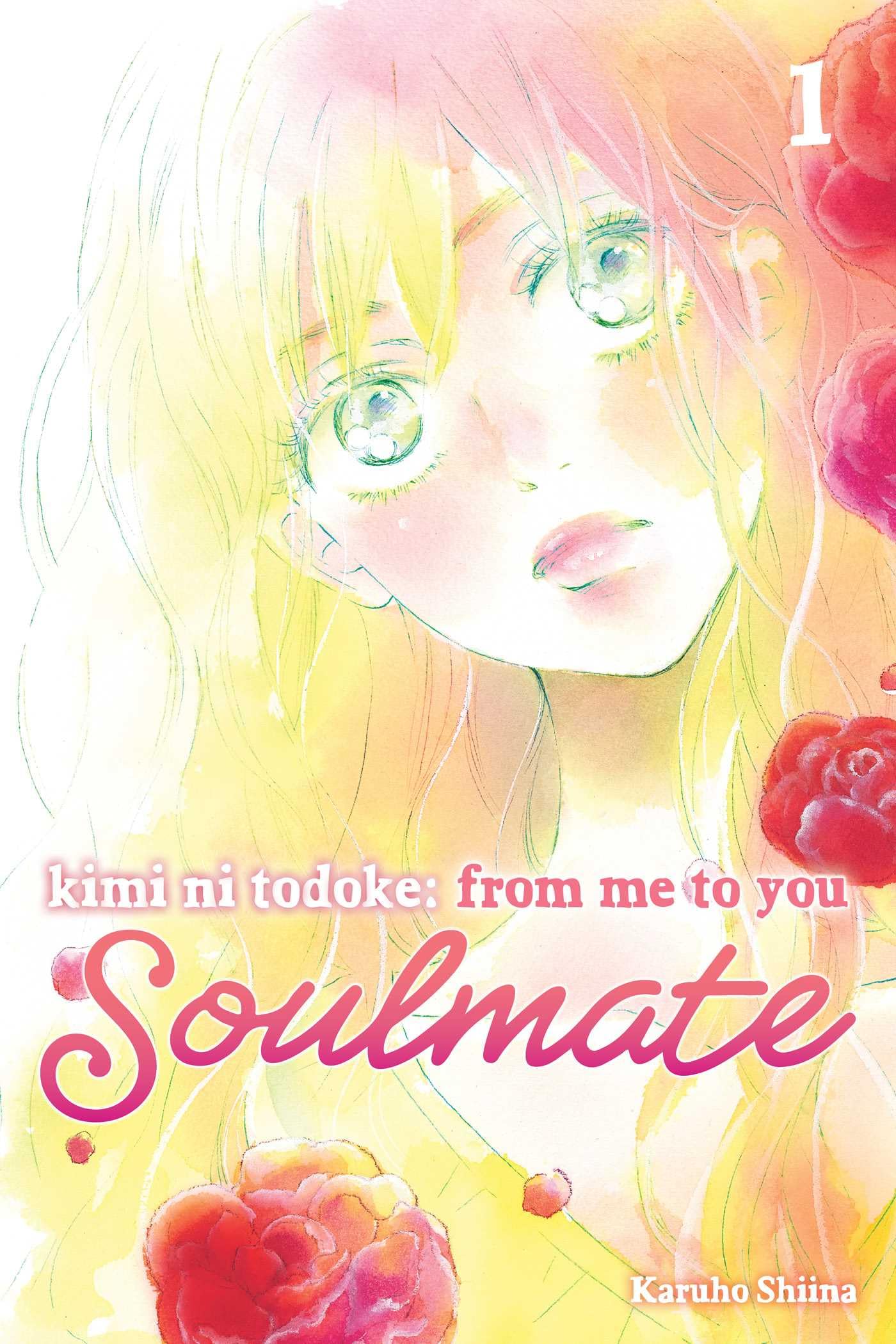 Kimi ni Todoke: From Me to You: Soulmate, Vol. 1 (1)
