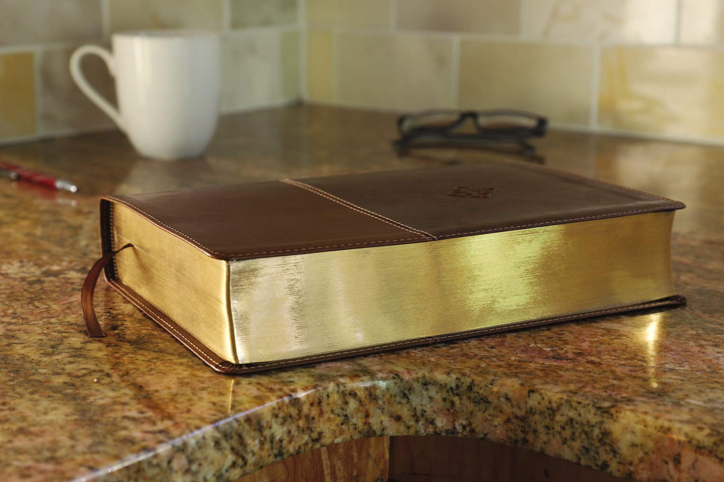 The Amplified Study Bible, Leathersoft, Brown [Large Print]