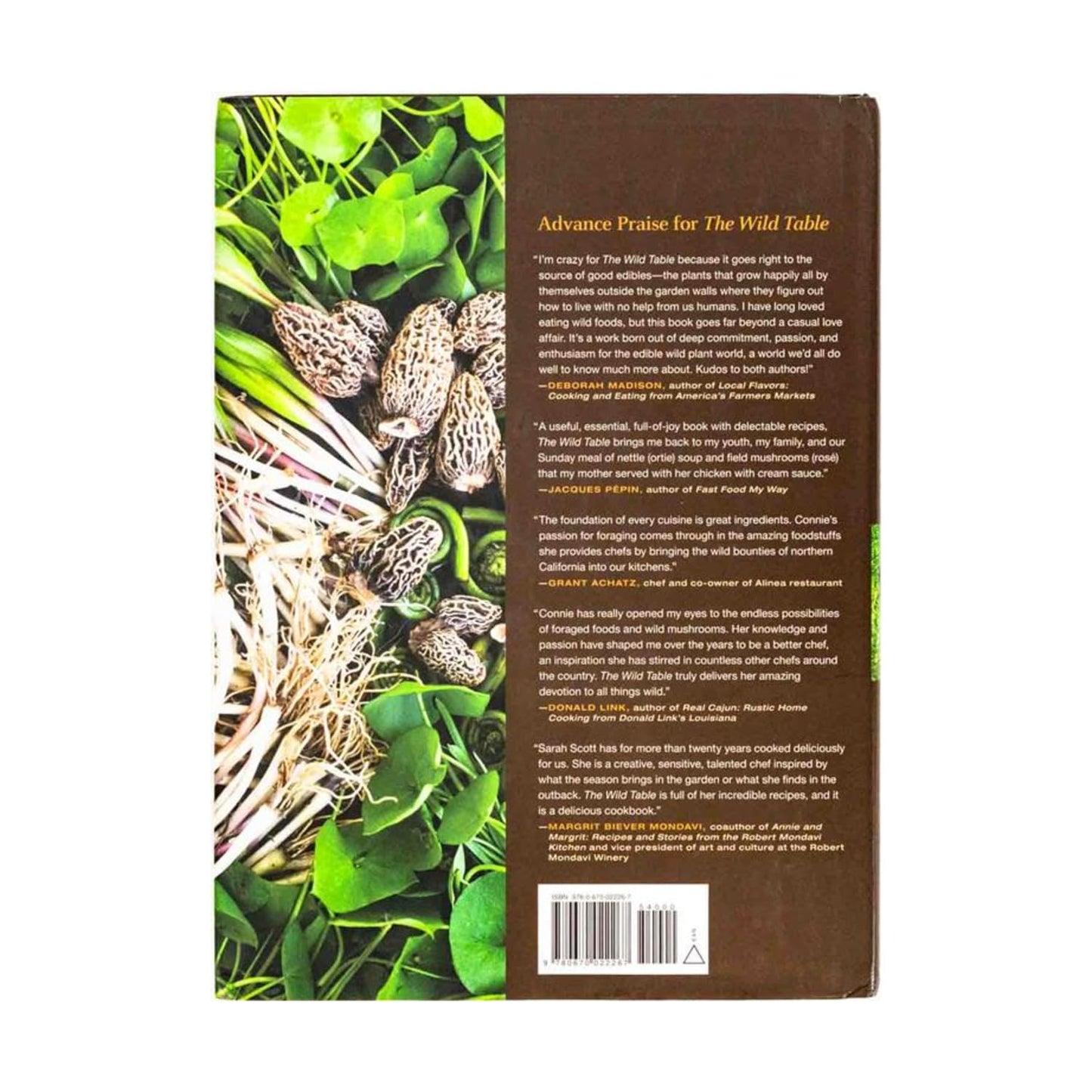 The Wild Table: Seasonal Foraged Food and Recipes