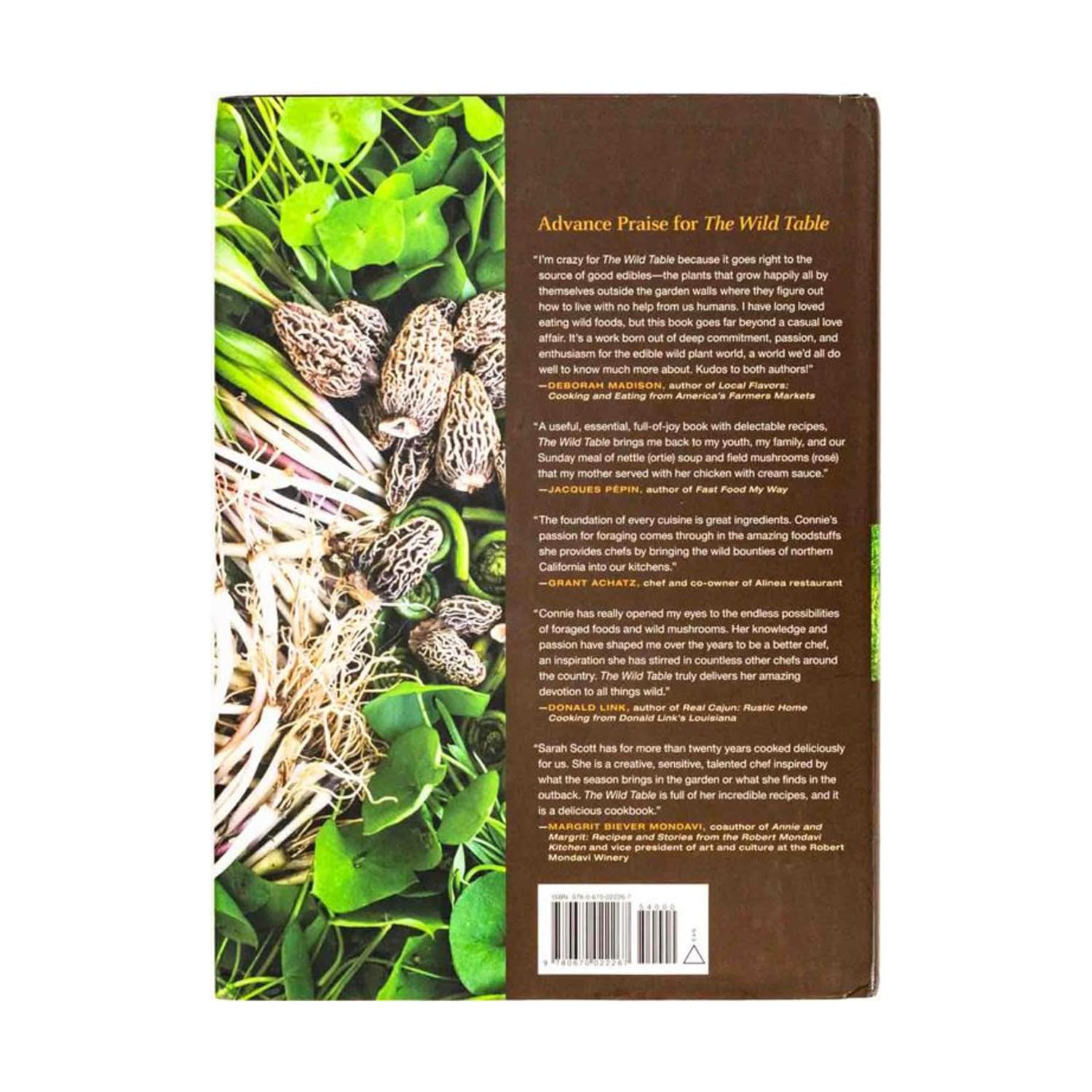 The Wild Table: Seasonal Foraged Food and Recipes