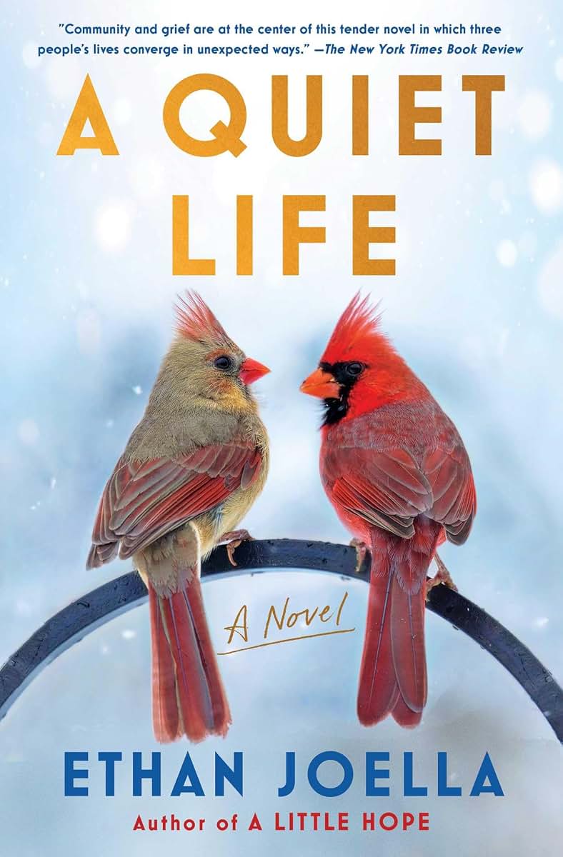 A Quiet Life: A Novel