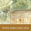 Wide Sargasso Sea: A Norton Critical Edition (Norton Critical Editions)