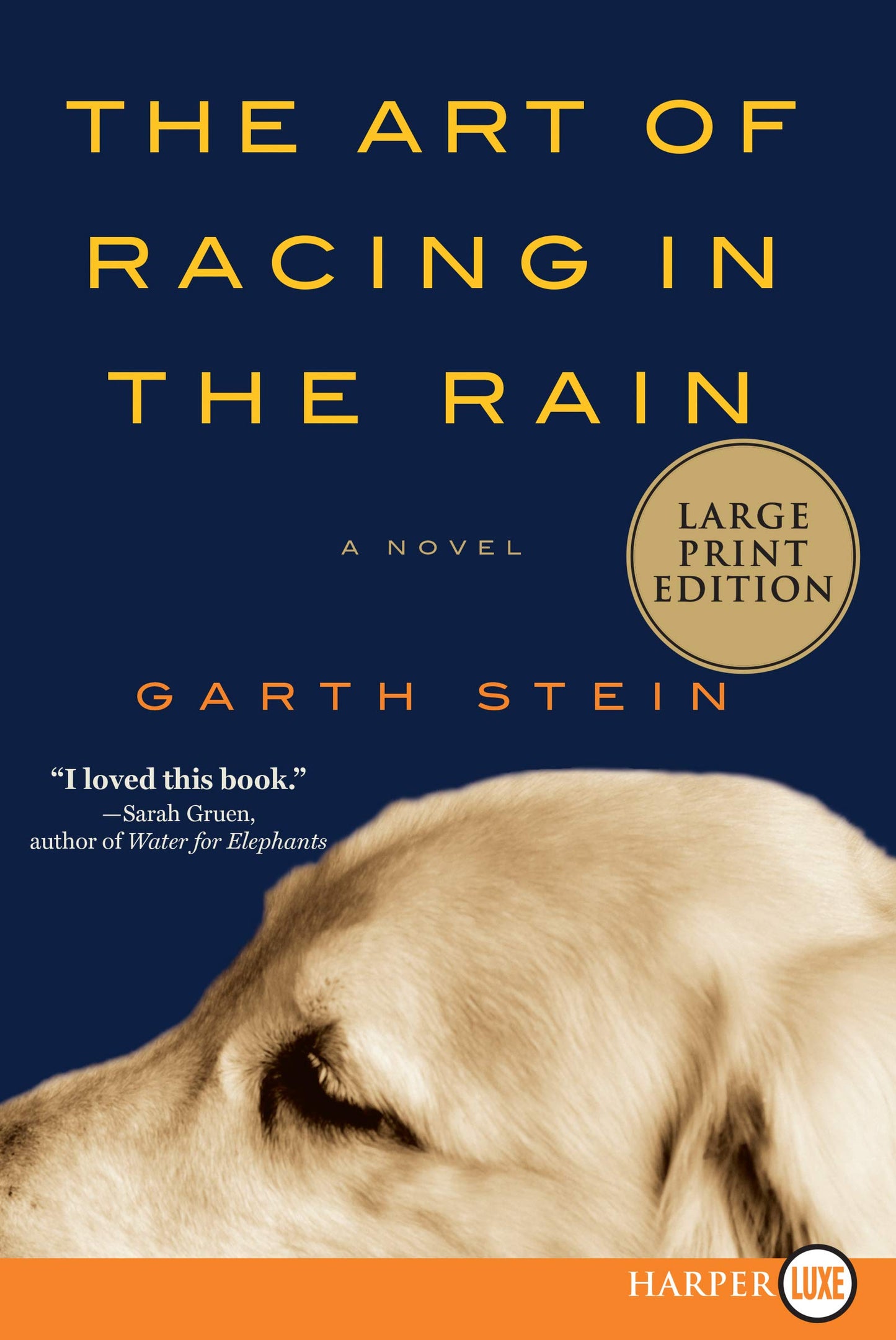 ART RACING RAIN
