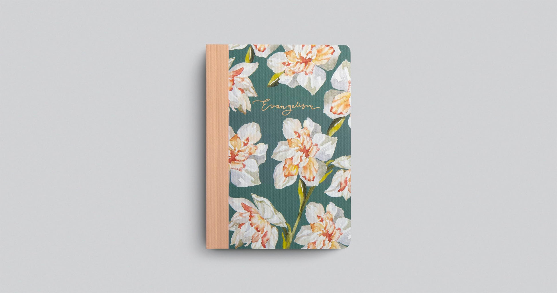 ESV Prayer Journal: 30 Days on Evangelism (Paperback)