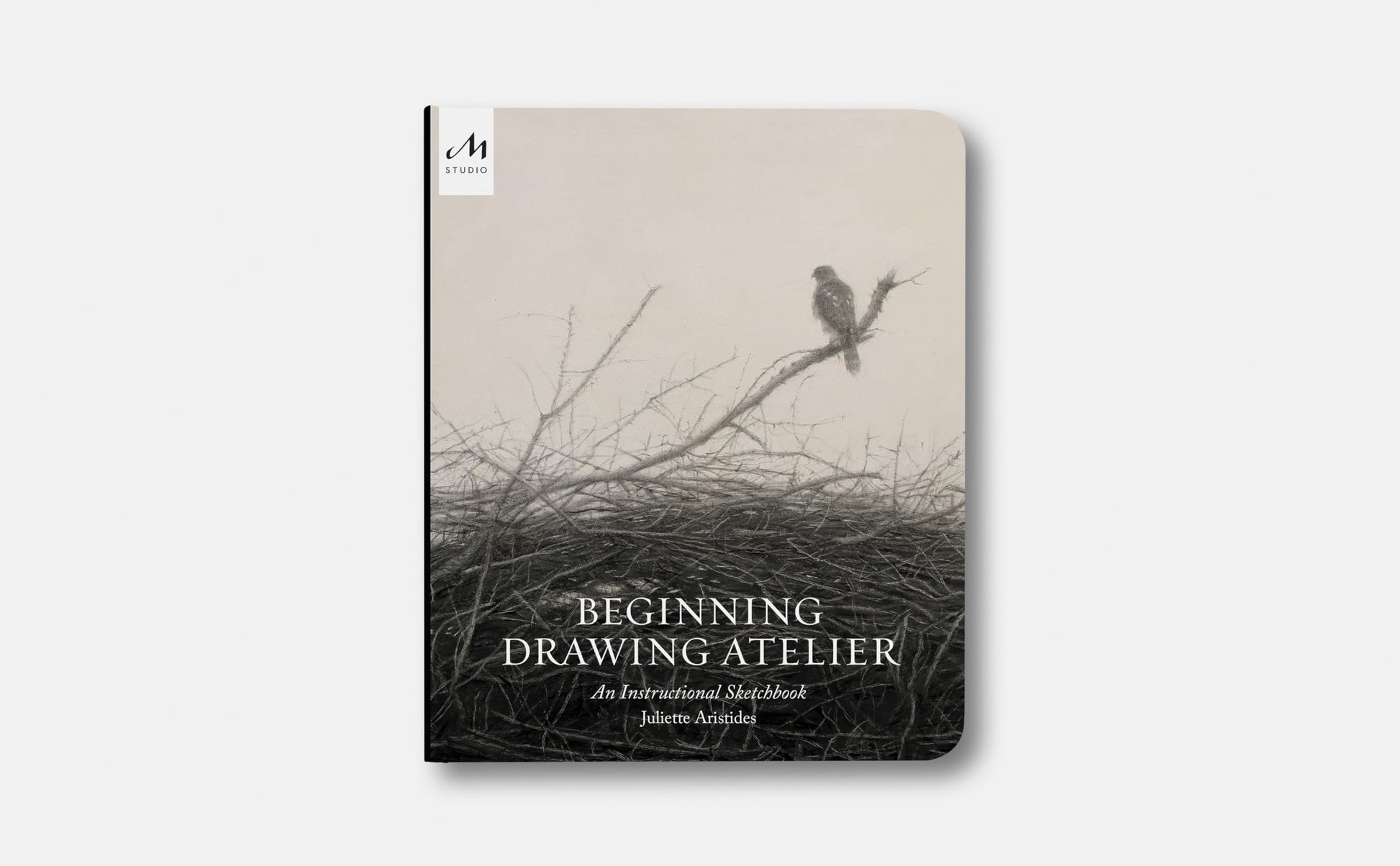 Beginning Drawing Atelier: An Instructional Sketchbook