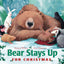 Bear Stays Up for Christmas (The Bear Books)