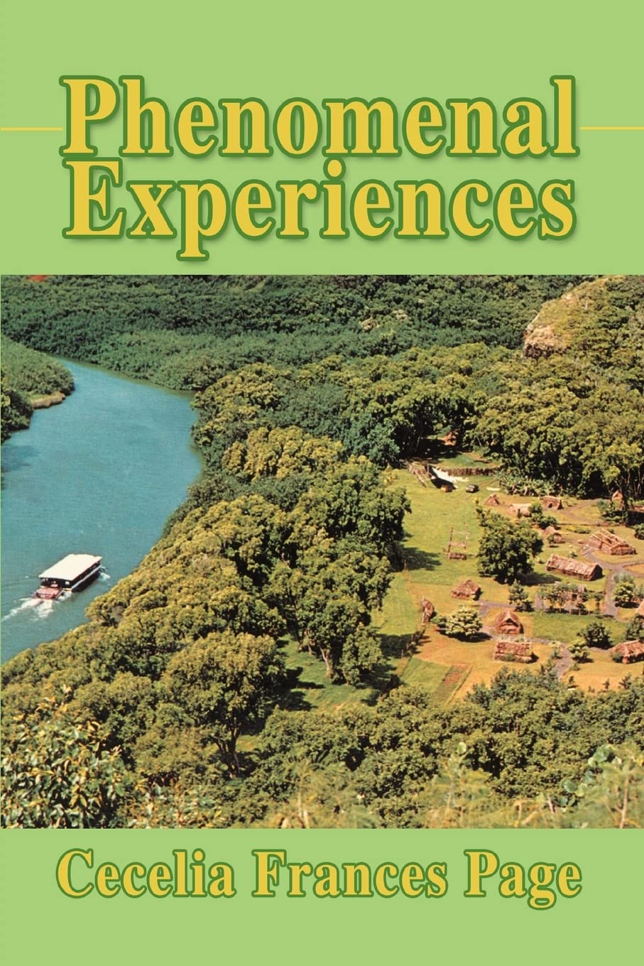 Phenomenal Experiences
