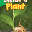 Inside a Plant (Science Readers: Content and Literacy)