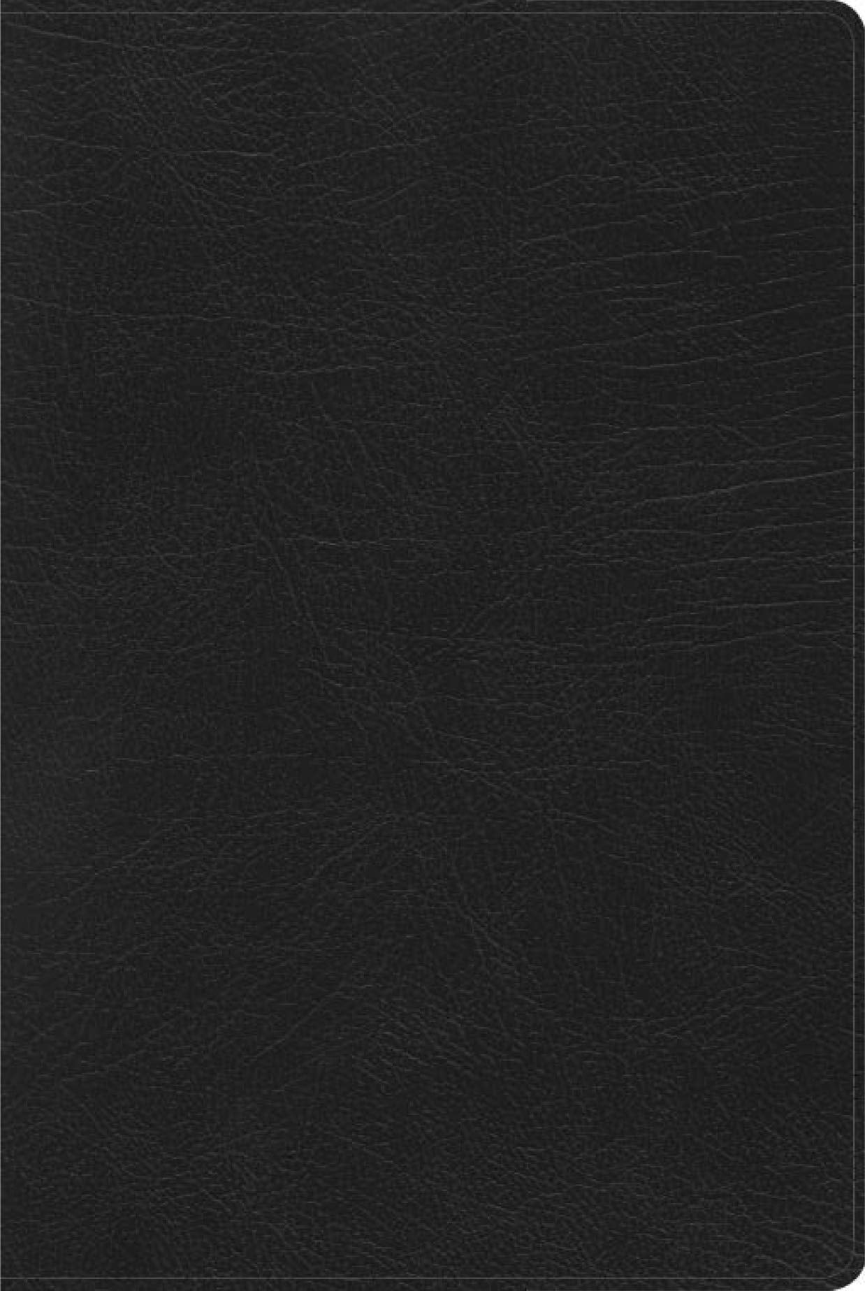 RVR 1960 Biblia de Estudio Arcoíris, negro símil piel/ Rainbow Study Bible RVR 1960 black, LeatherTouch (Spanish Edition)
