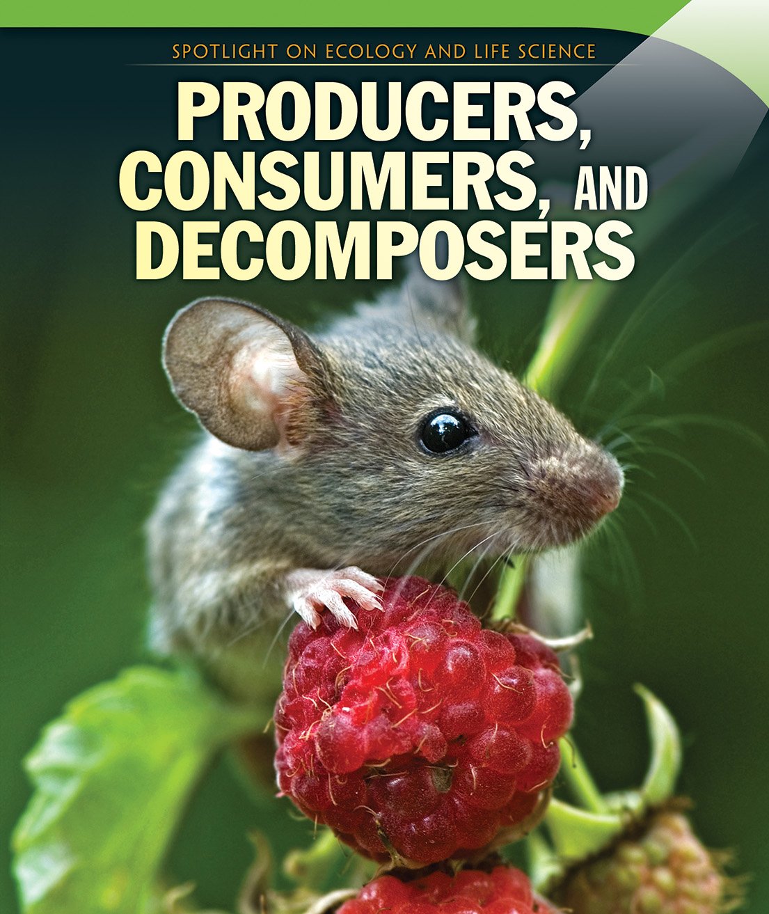 Producers, Consumers, and Decomposers (Spotlight on Ecology and Life Science)