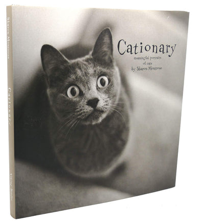 Cationary: Meaningful Portraits of Cats