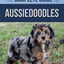The Complete Guide to Aussiedoodles: Finding, Caring For, Training, Feeding, Socializing, and Loving Your New Aussidoodle