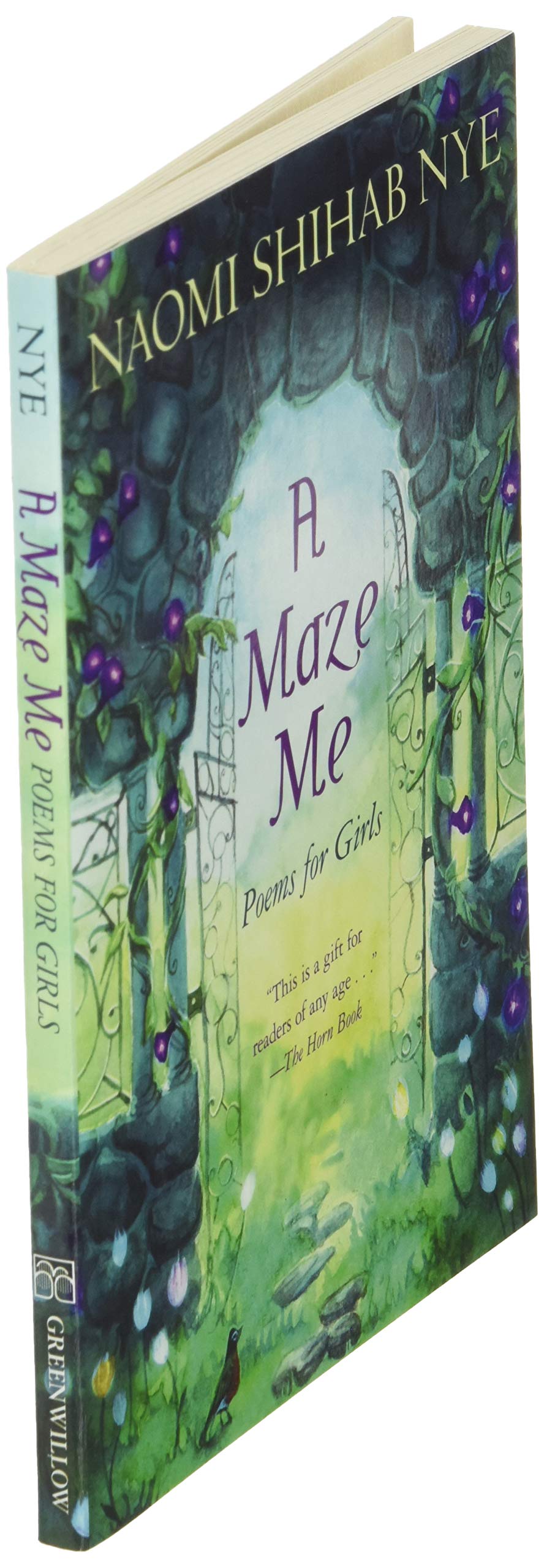 A Maze Me: Poems for Girls