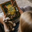 Saintly Creatures: 14 Tales of Animals and Their Holy Compan
