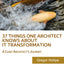 37 Things One Architect Knows About IT Transformation: A Chief Architects Journey