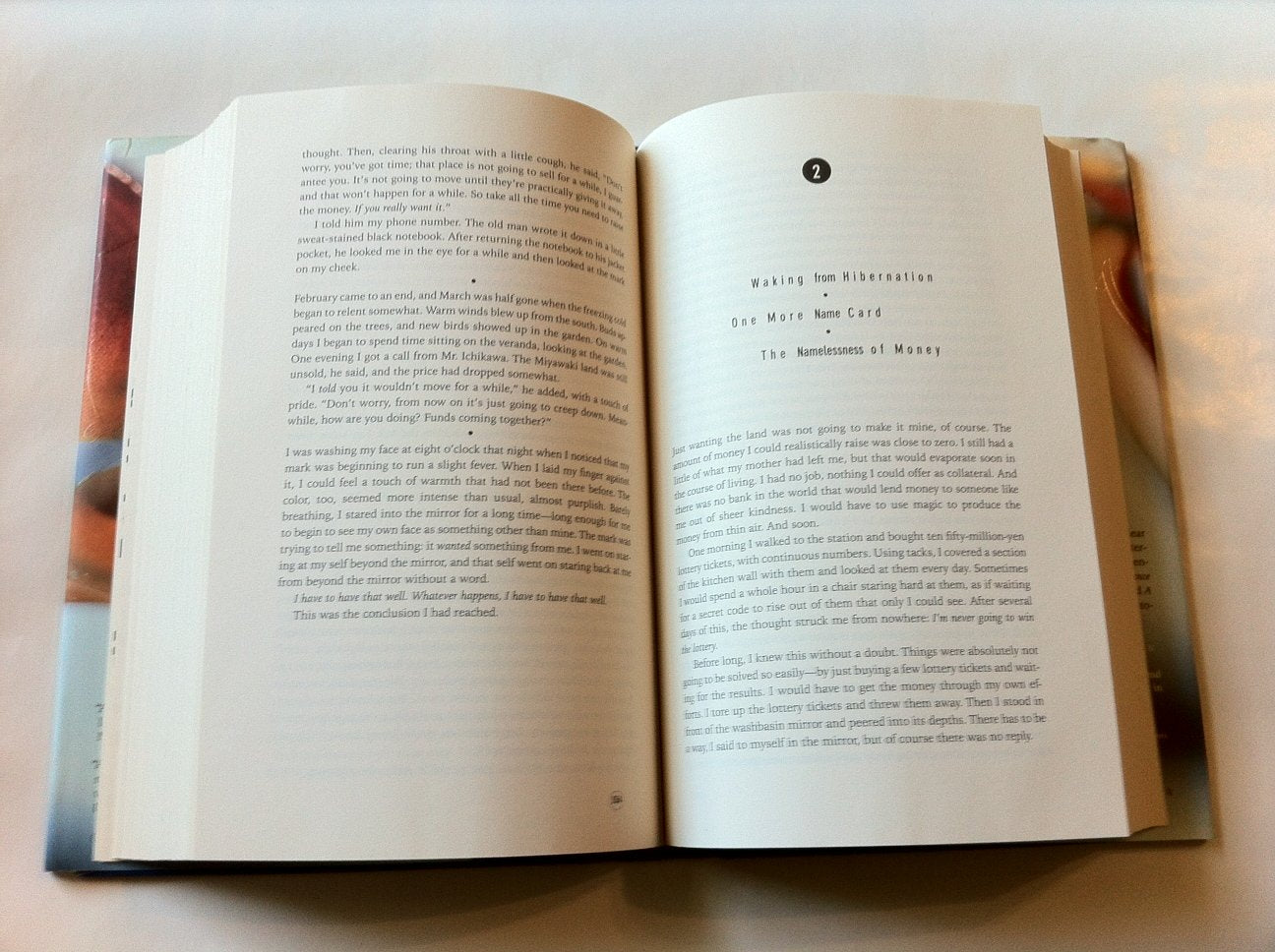 The Wind-Up Bird Chronicle by Haruki Murakami