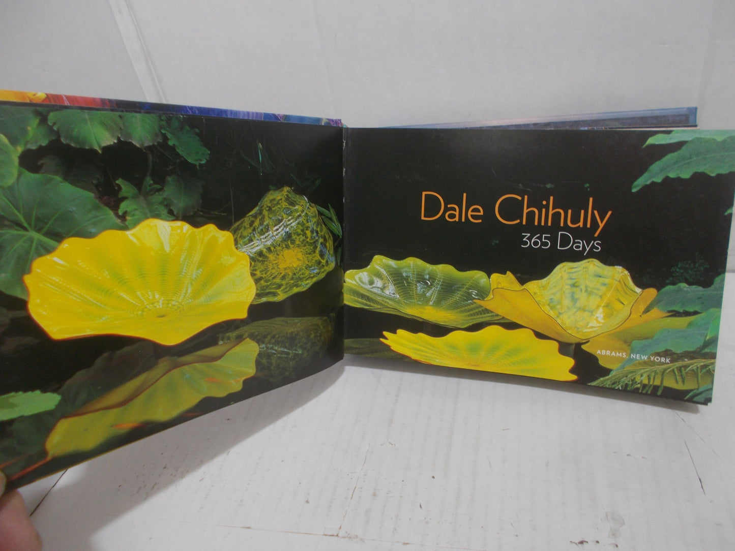Chihuly: 365 Days by Chihuly, Dale