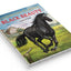 Illustrated Classics - Black Beauty: Abridged Novels With Review Questions