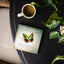 The Butterfly Effect: How Your Life Matters