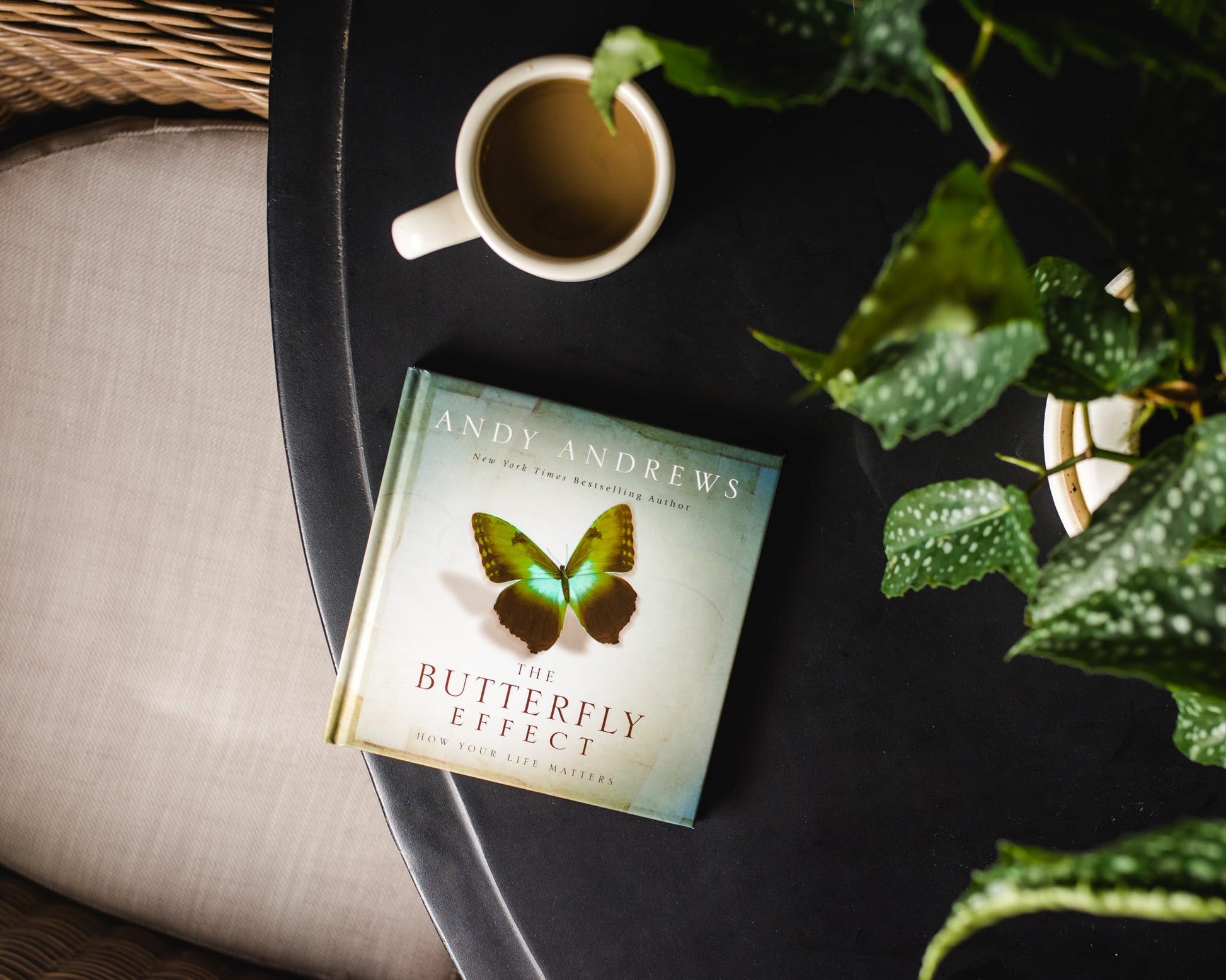 The Butterfly Effect: How Your Life Matters