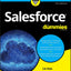Salesforce For Dummies (For Dummies (Business & Personal Finance))