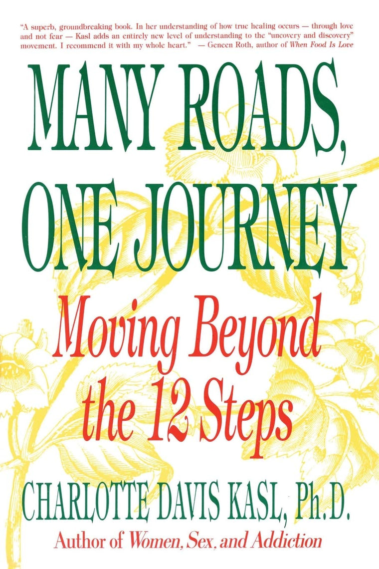 Many Roads One Journey: Moving Beyond the 12 Steps