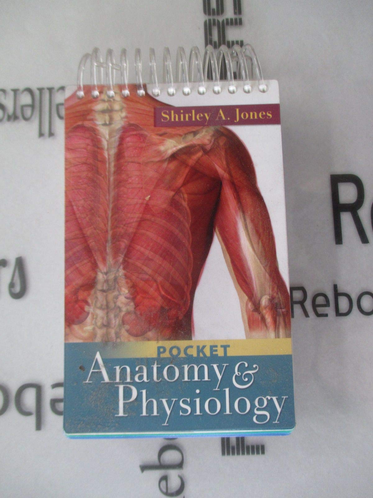 Pocket Anatomy and Physiology by Shirley A. Jones