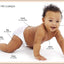 My First Bilingual Body (My First Board Books)