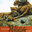 Painting Wildlife With John Seerey-Lester