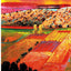 Color Choices Making Color Sense Out of Color Theory by Quil