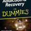 Addiction and Recovery For Dummies by Ritvo, Paul