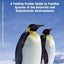 Antarctic Wildlife: A Folding Pocket Guide to Familiar Species of the Antarctic and Subantarctic Environments (Nature Observation International)