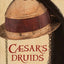 Caesar's Druids: An Ancient Priesthood by Aldhouse-Green, Mi