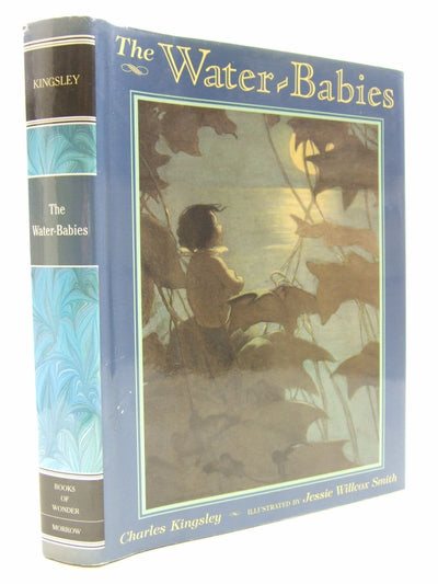 The Water-Babies (Books of Wonder)